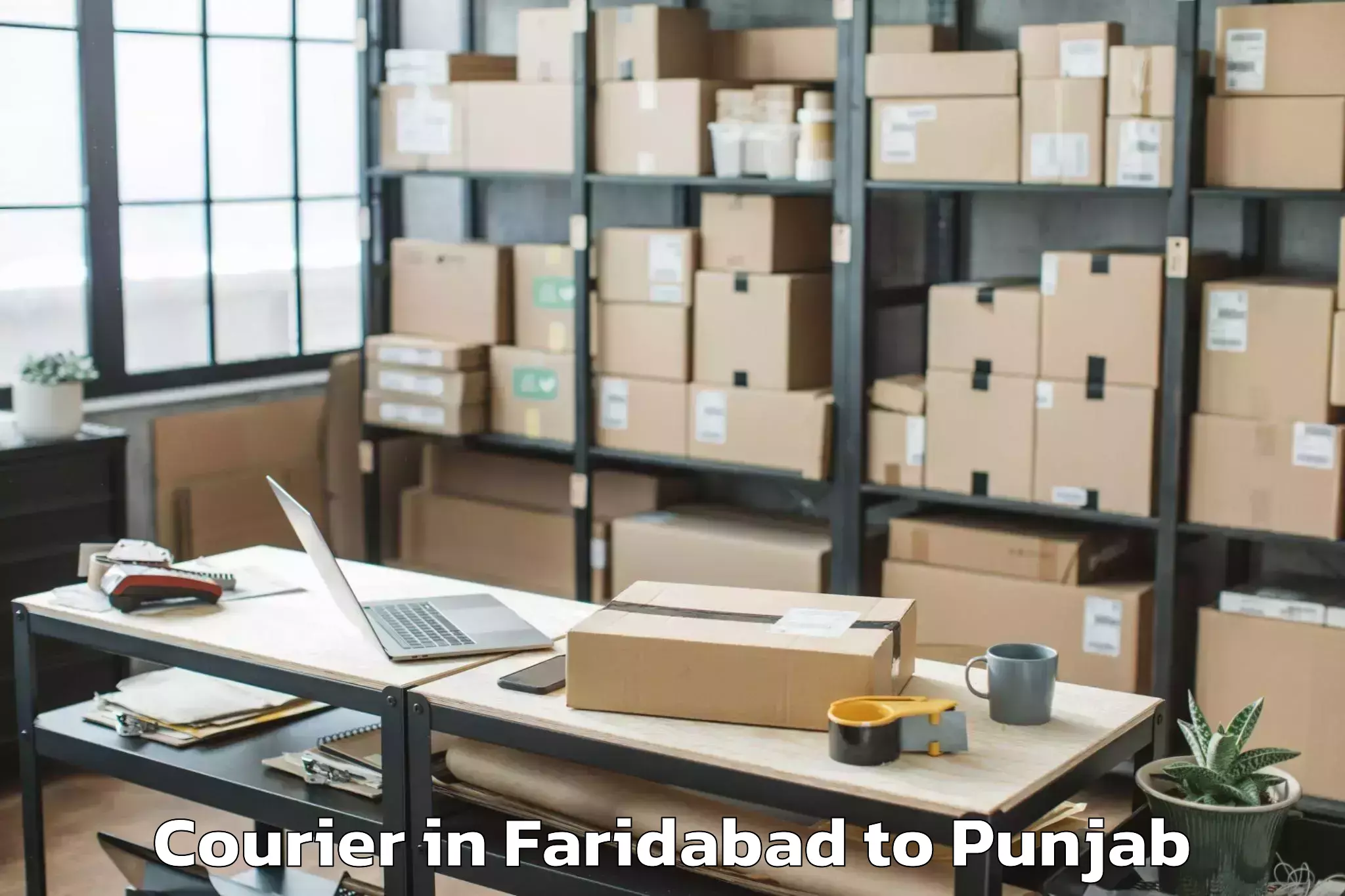 Quality Faridabad to Badhni Kalan Courier